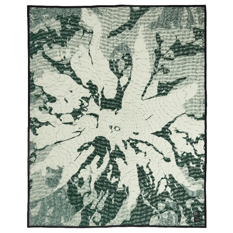2026_05_14_3981522