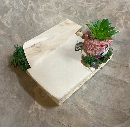 boardparadise-3202605150205054049083