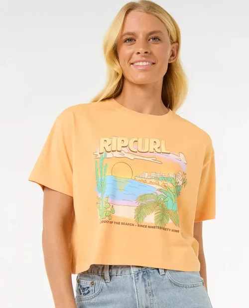 boardparadise-3202605150949094117307