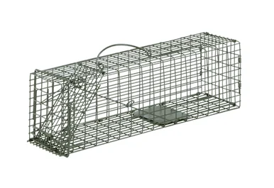 flemingtraps202605021715261974482