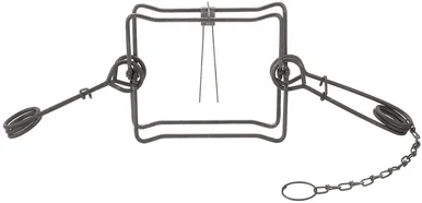 flemingtraps202605021719271976660