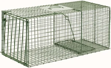 flemingtraps202605021720021976972